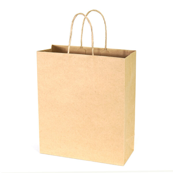 7公版通用直式袋(服飾)-空白素面-赤牛皮紙袋-3
