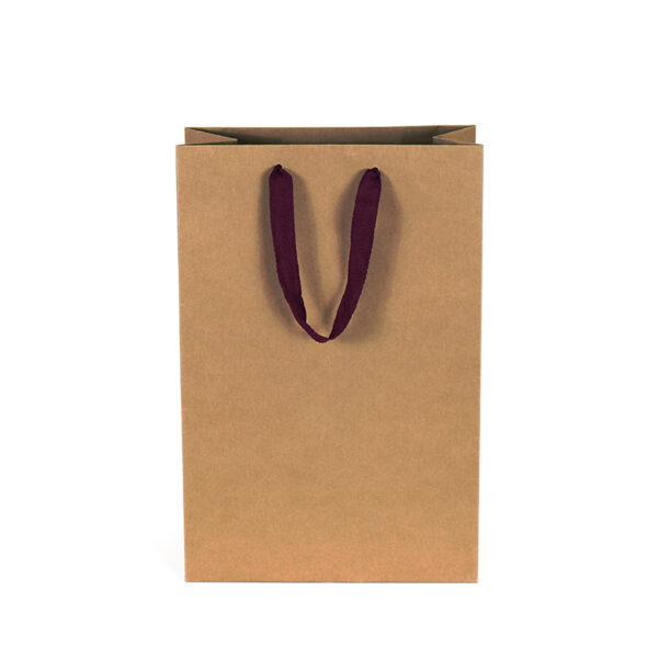 9公版紅酒雙瓶袋-空白素面-赤牛皮紙袋-2
